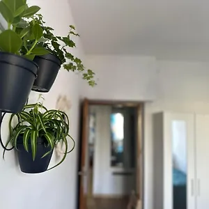  Apartament M&m Polska